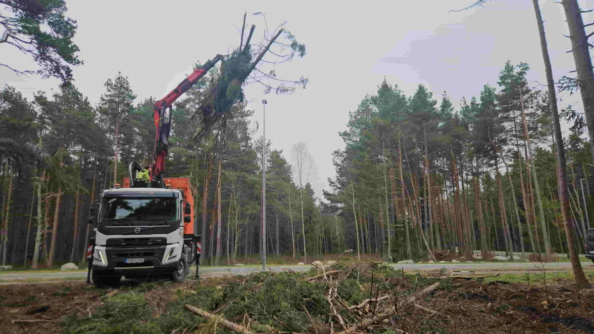 Kraanaauto tõstab oksi metsa ääres