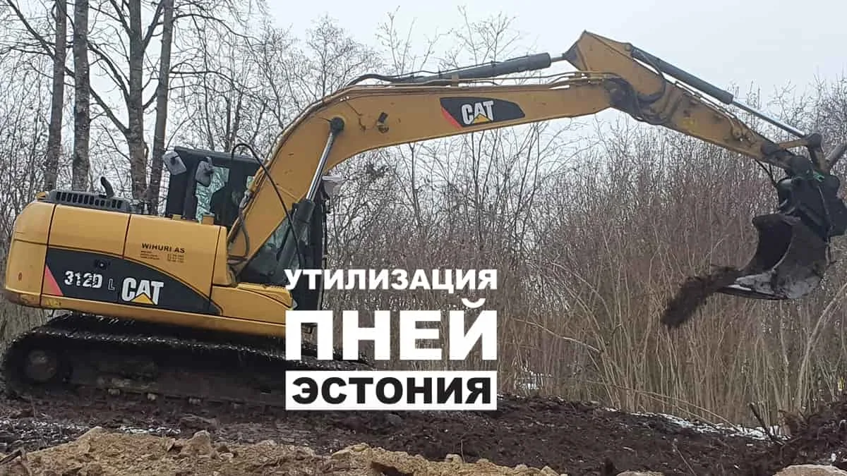 Экскаватор выкорчёвывает пни, надпись об утилизации пней
