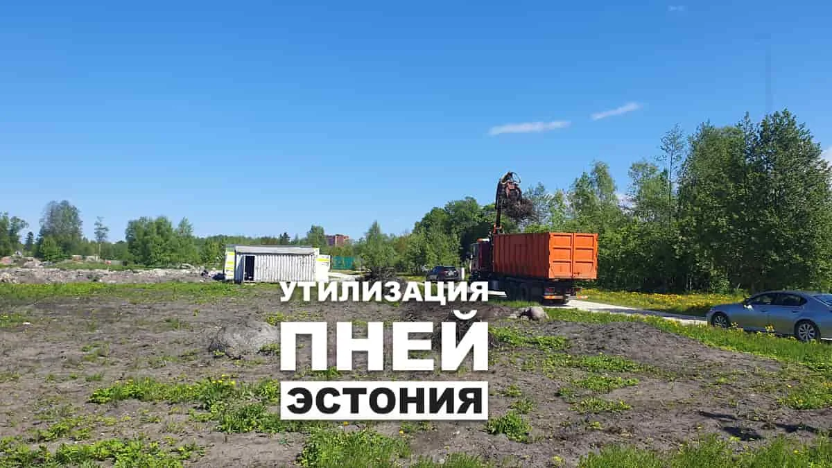 Грейфер грузит пни в оранжевый контейнер, надпись об утилизации