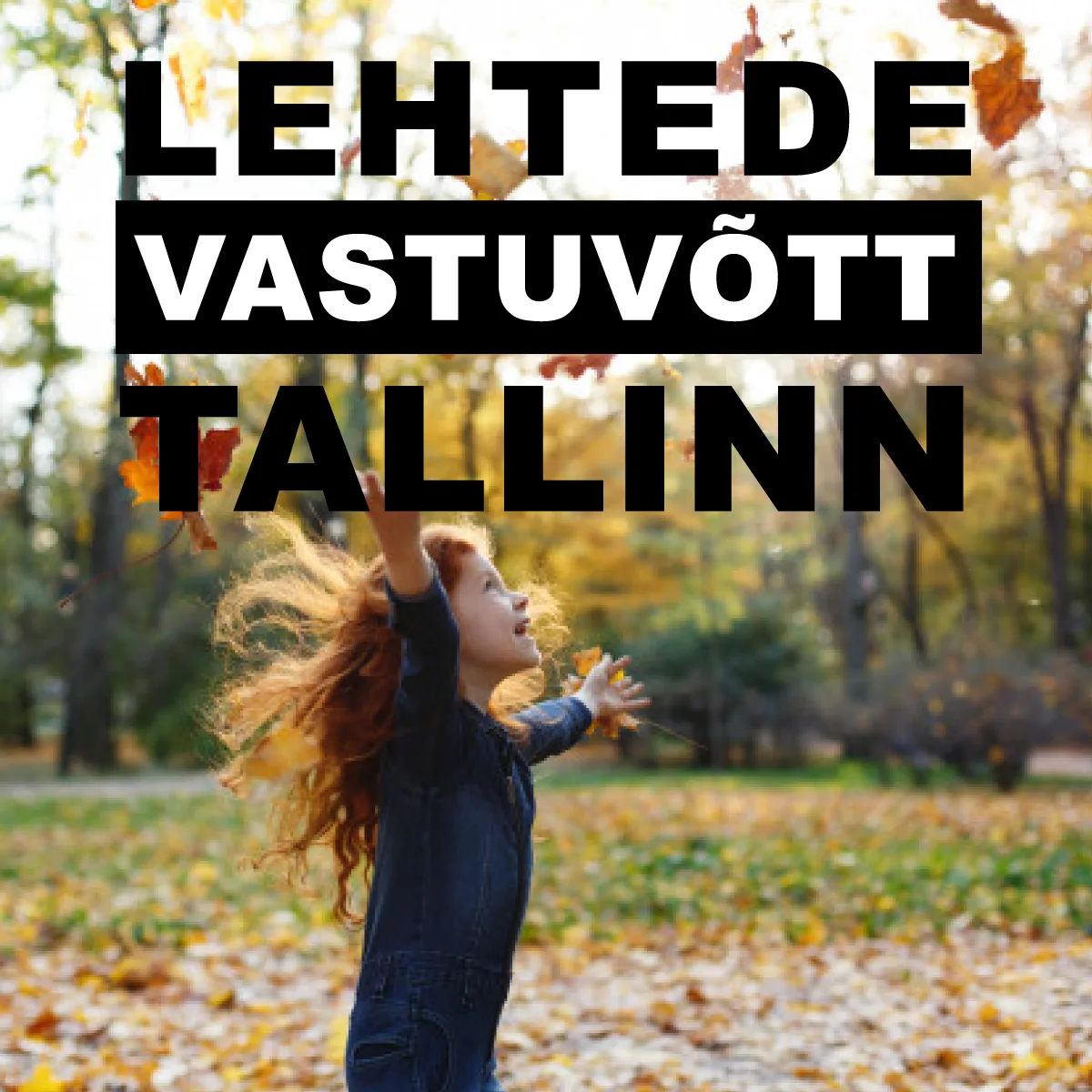 Kuhu viia ehituspraht2