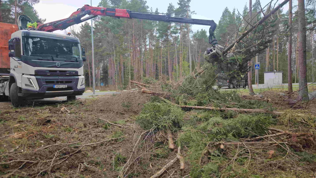 Кран-манипулятор грузит срезанные ветки на опушке леса