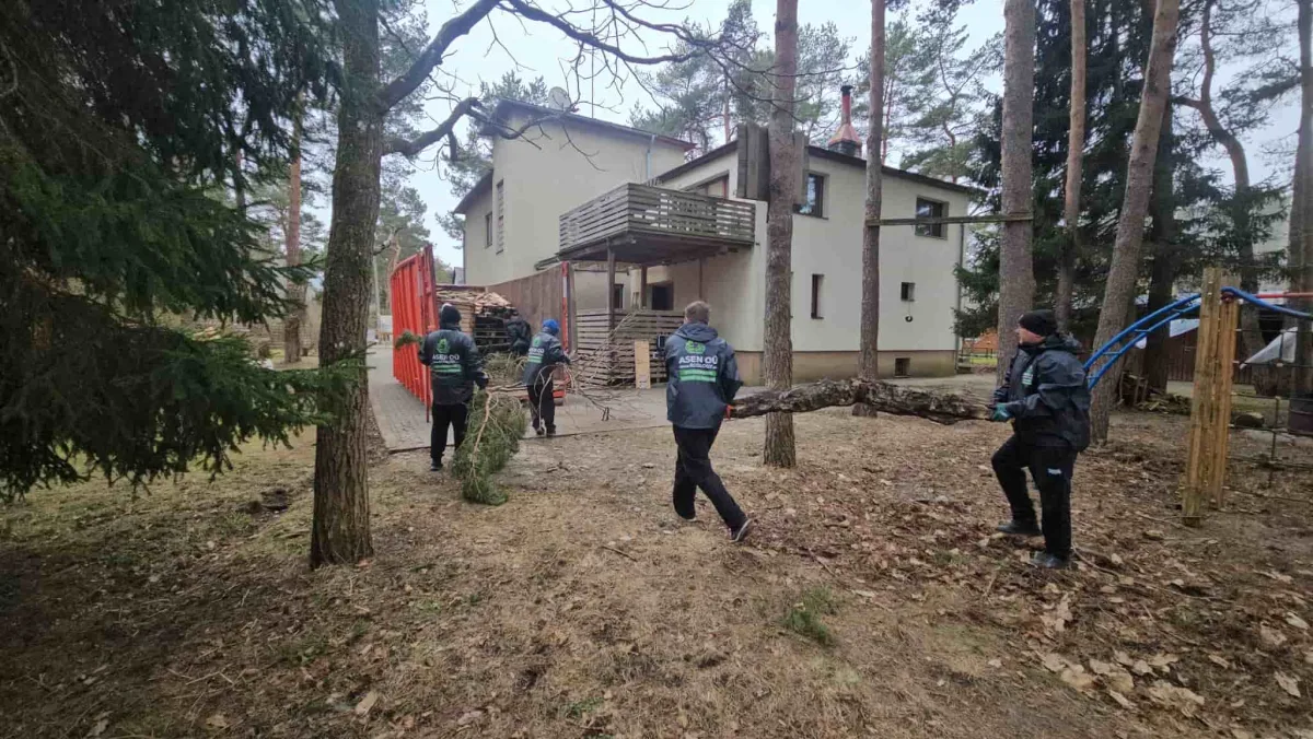 Погрузка веток в контейнер вручную