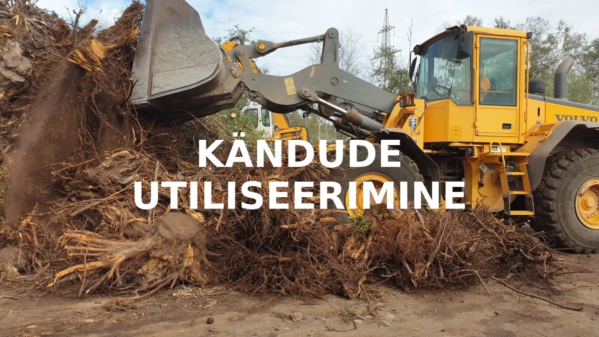 Kandude utiliseerimine 3