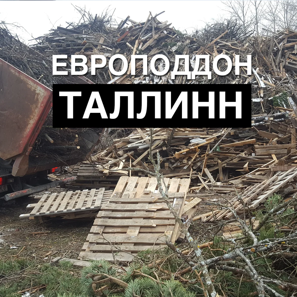 Сломанные поддоны в куче древесных отходов, надпись о европоддонах