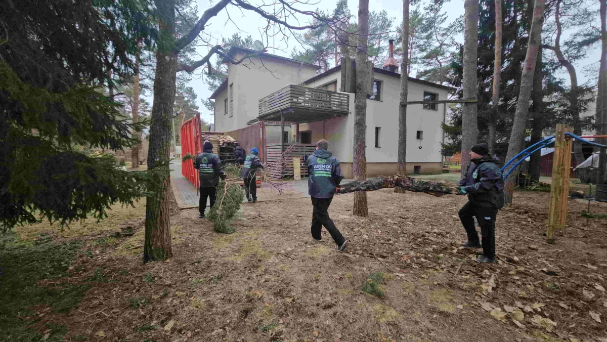 Puulehtede vastuvõtt (2)