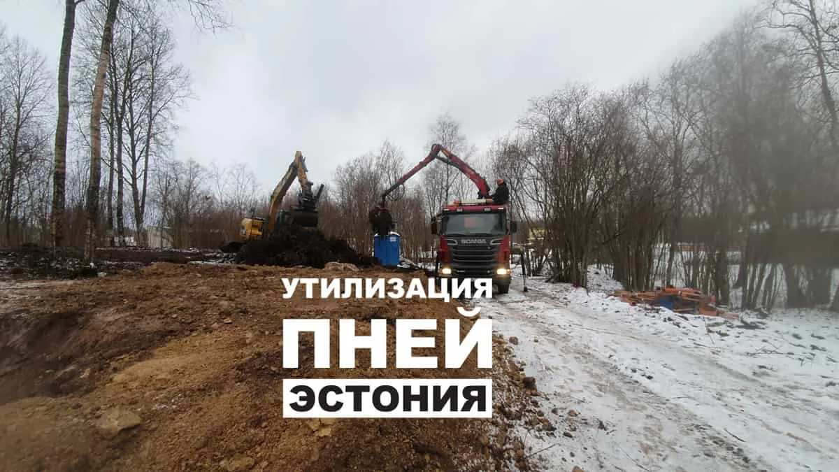 Экскаватор и кран-манипулятор на зимнем участке, надпись о пнях