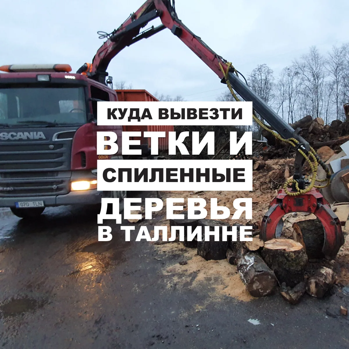 Кран-манипулятор грузит спиленные стволы, надпись о вывозе веток