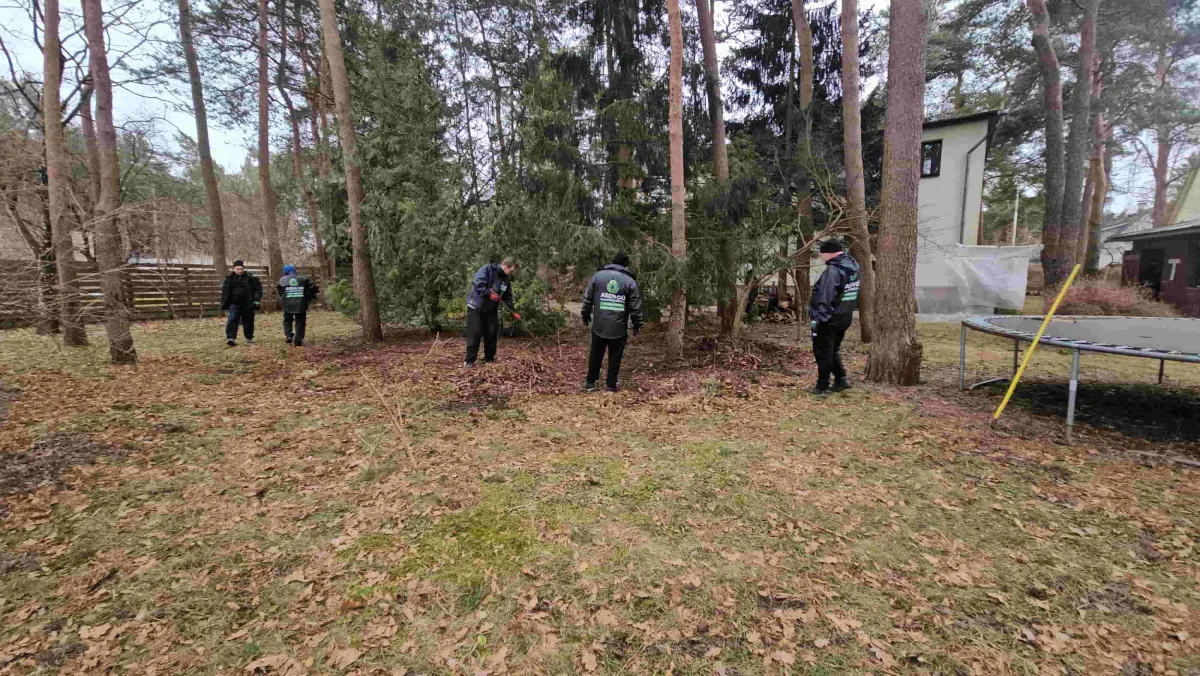 Raiejaatmete kogumine parast puude langetamist