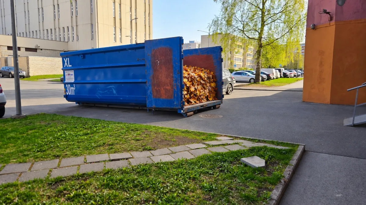 Синий контейнер с листьями во дворе многоквартирного дома