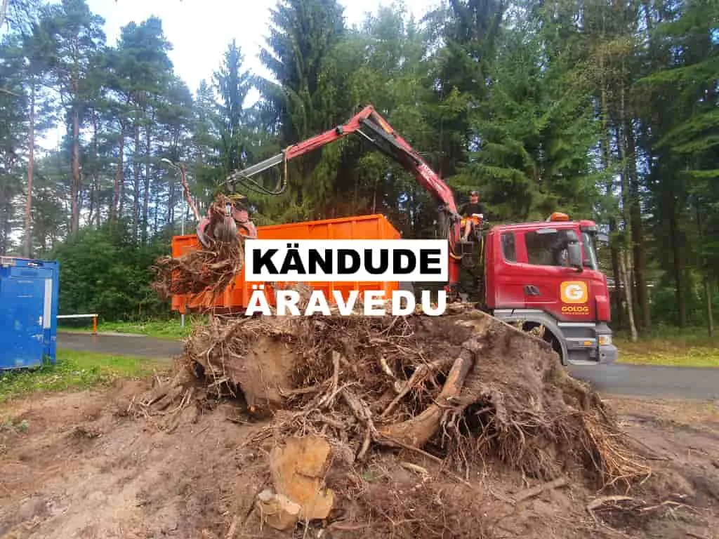 Kändude vastuvõtt