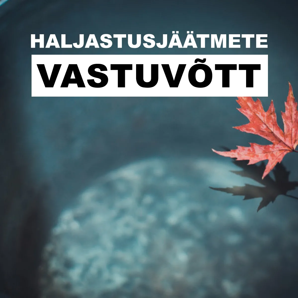 Puulehede vastuvott