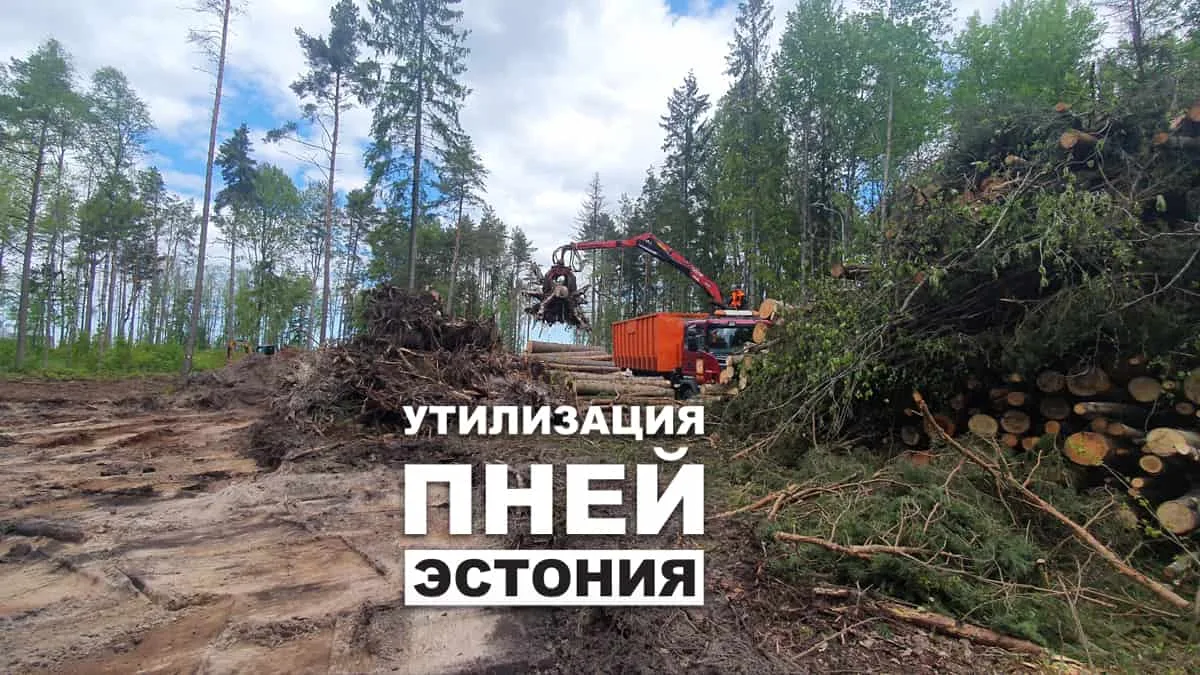 Кран-манипулятор на лесной вырубке, надпись об утилизации пней