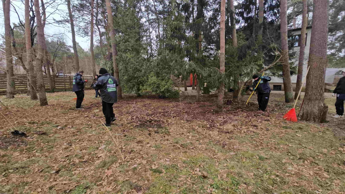Рабочие сгребают опавшие листья и ветки в саду
