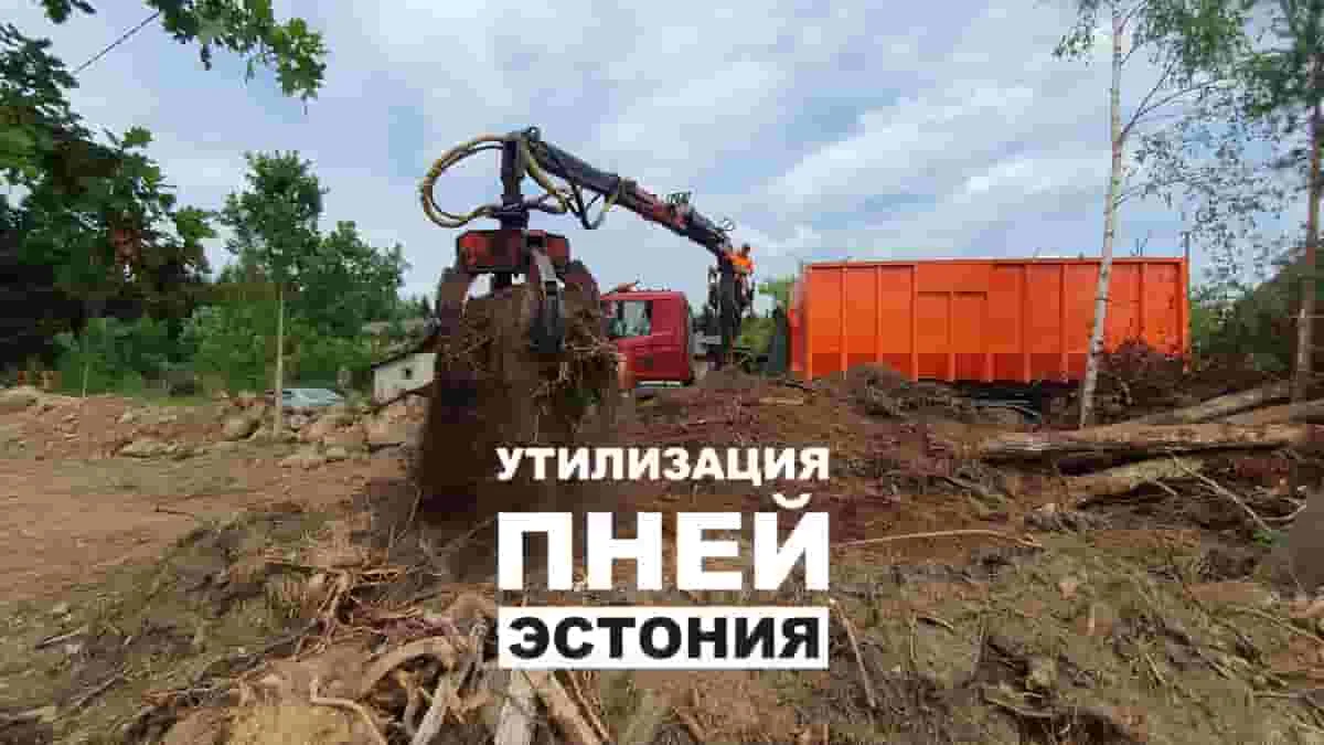 Грейфер поднимает пень у оранжевого контейнера, надпись о пнях