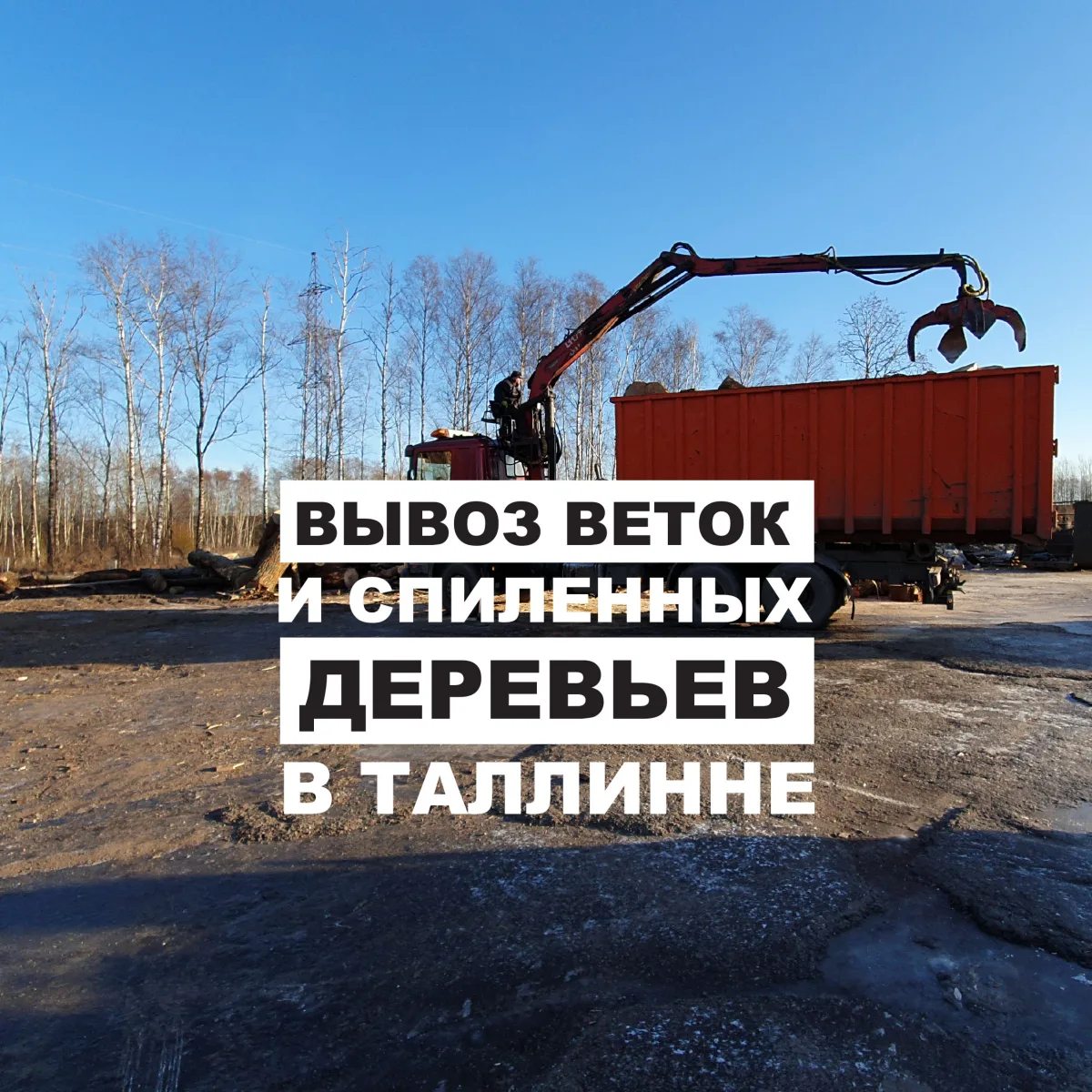 Кран-манипулятор и красный контейнер, надпись о вывозе спиленных деревьев