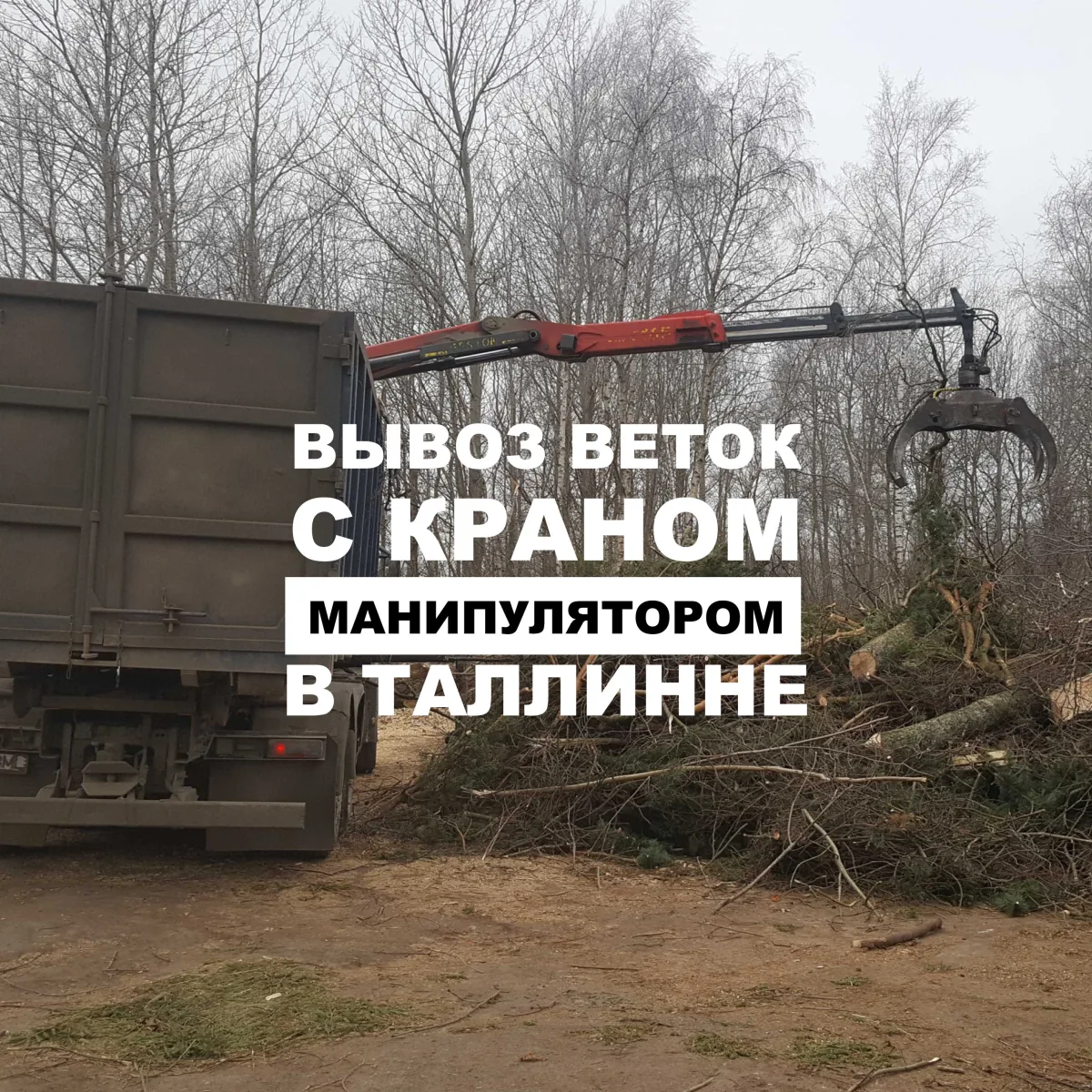 Кран-манипулятор грузит ветки, надпись о вывозе веток в Таллинне