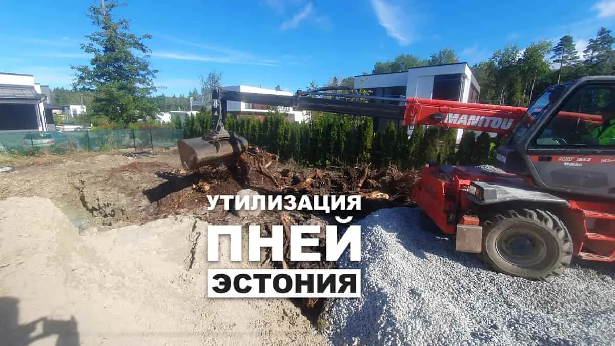 Погрузчик убирает пни с участка, надпись об утилизации пней