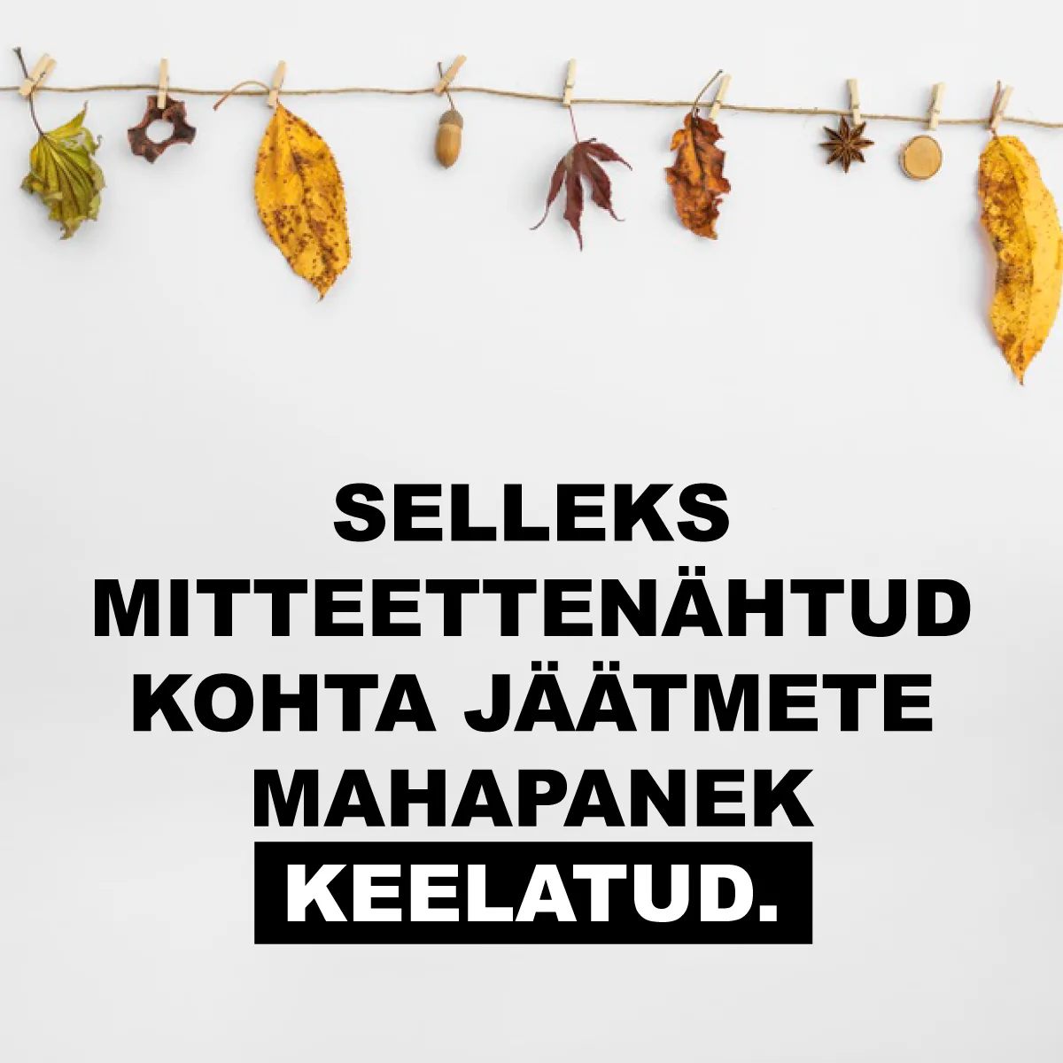 Kuhu viia ehituspraht2