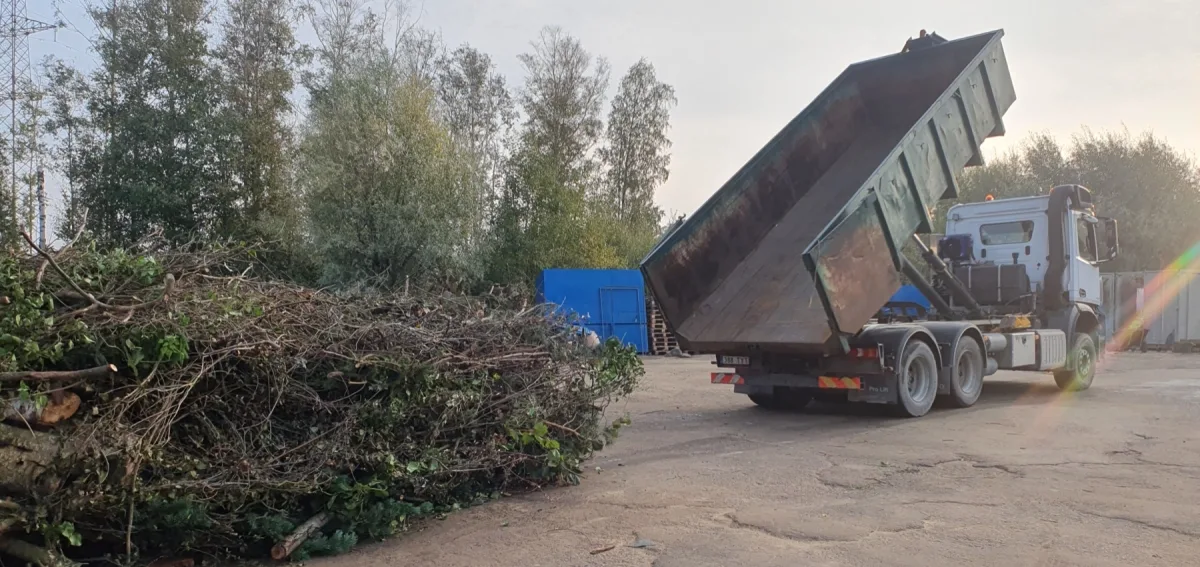 Контейнеровоз выгружает ветки на площадке