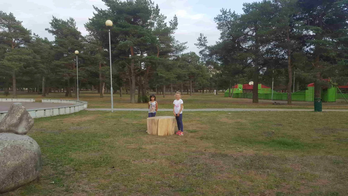 Дети у деревянного пня-сиденья в парке