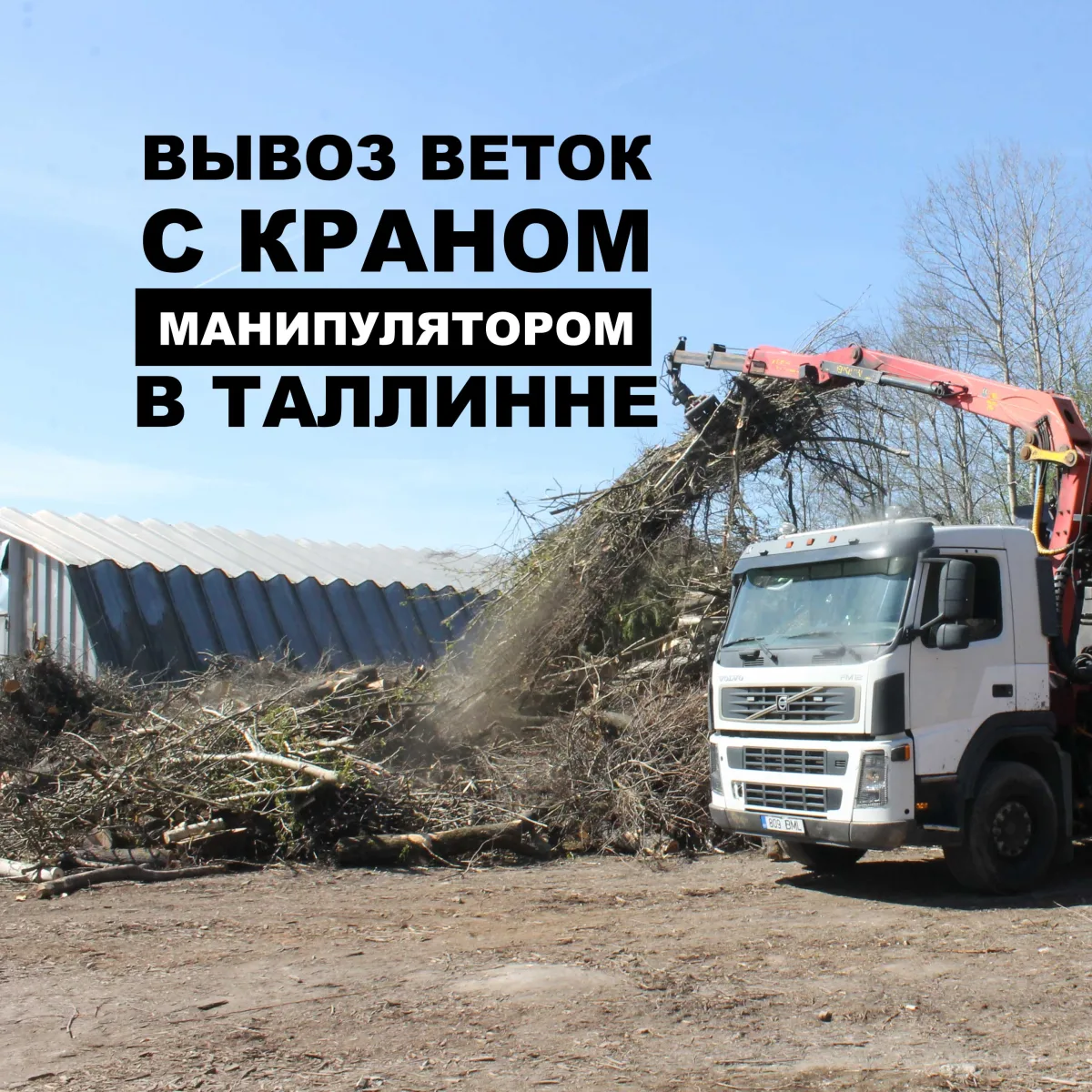 Грузовик с краном грузит ветки с кучи, надпись о вывозе веток