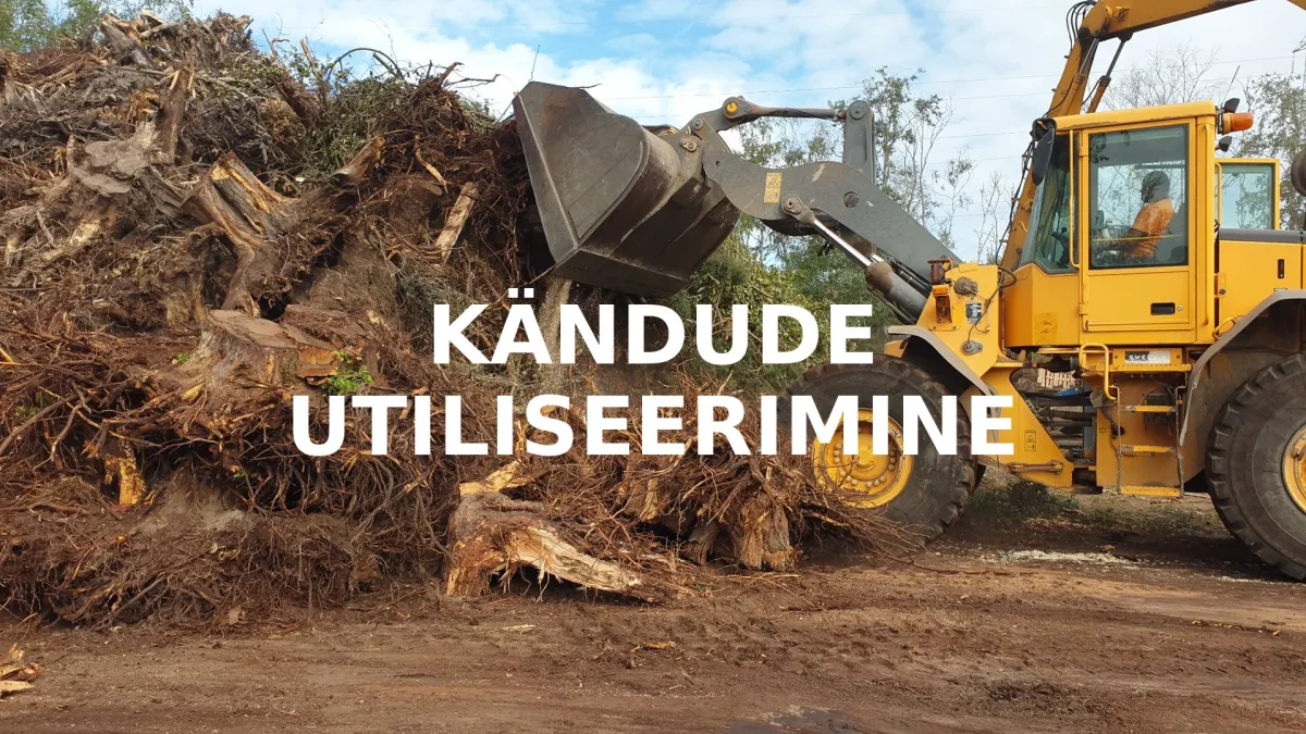 Kandude utiliseerimine 2